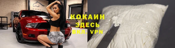 индика Абаза