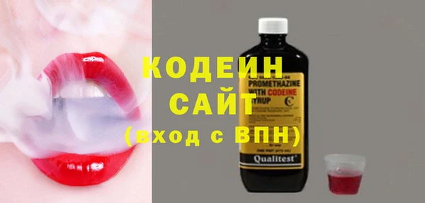 индика Абаза