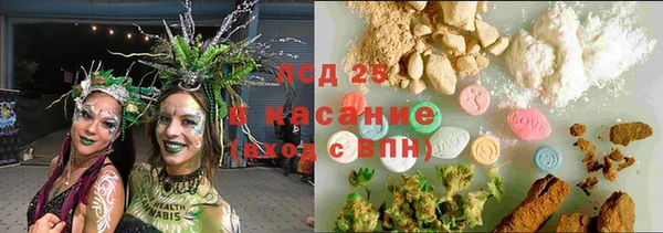 индика Абаза