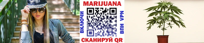 Марихуана VHQ  кракен маркетплейс  Череповец 